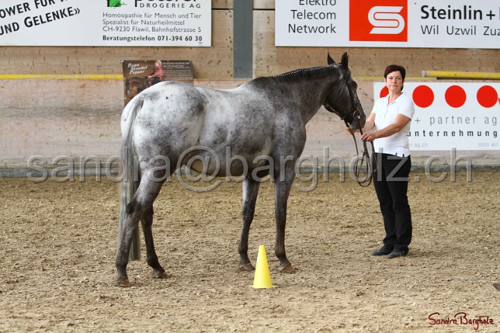24-ApHC HIH_027.jpg